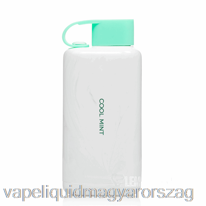 Vozol Star 9000 Eldobható Hideg Menta Vape Toll